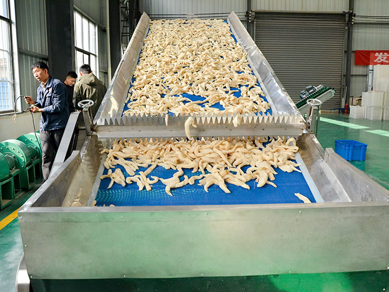 Radish drying