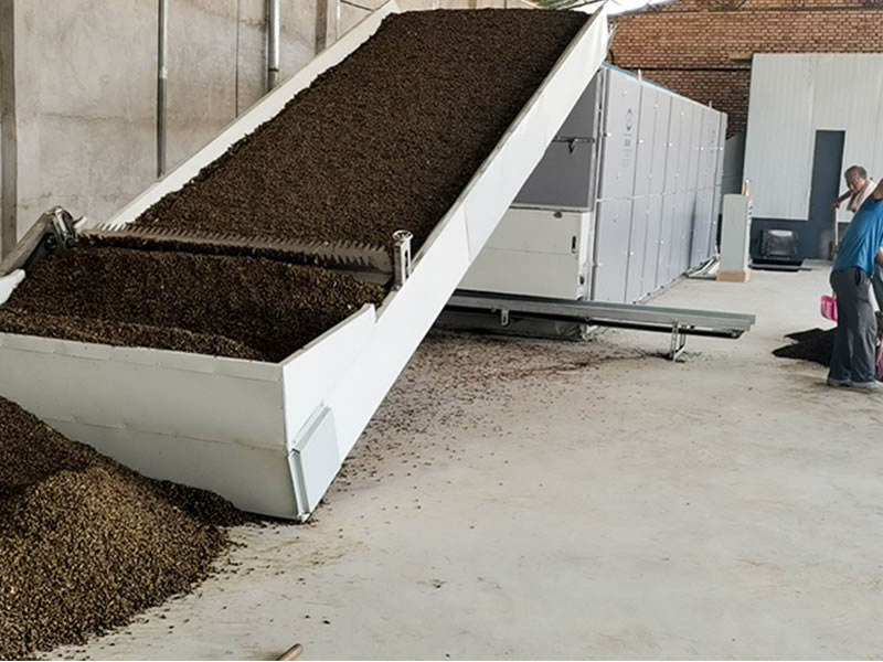Forsythia Dryer