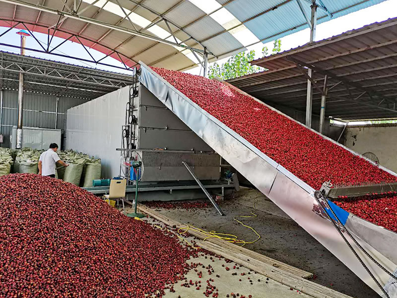 Chili dryer