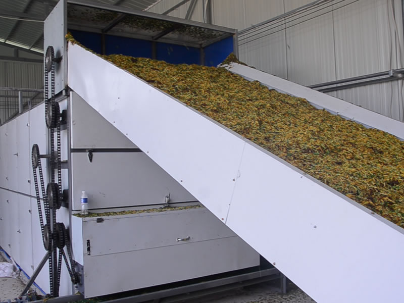 Honeysuckle dryer