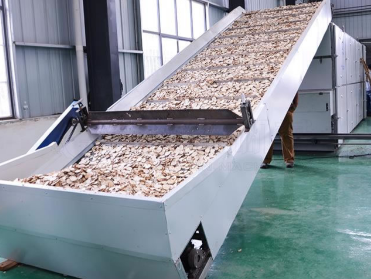 Cultural Intelligence at Work: JUSUNG MACHINE Yam mesh belt dryer Deliver Tailored Solutions for 