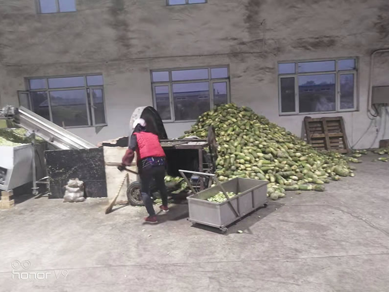 Radish dryer